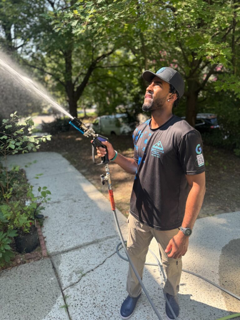 Gutter Cleaning