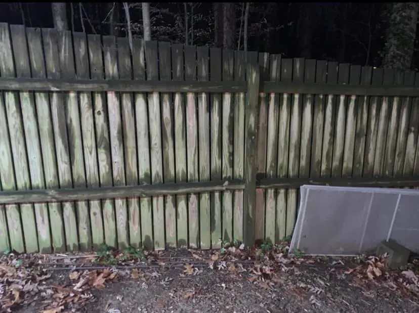 Before Fence Cleaning