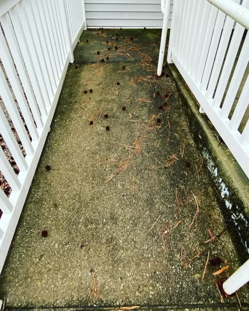 Commercial pressure Washing Raleigh, NC